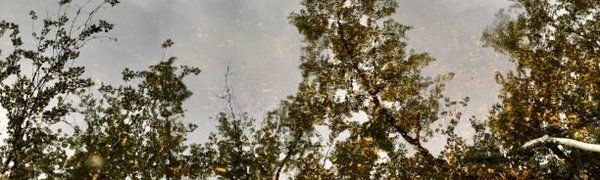 Риск подтоплений растёт: на реках Приморья продолжаются локальные паводки