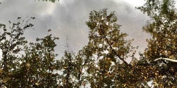 Риск подтоплений растёт: на реках Приморья продолжаются локальные паводки