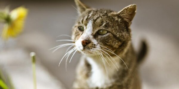 До +15°С прогреется воздух во Владивостоке в четверг