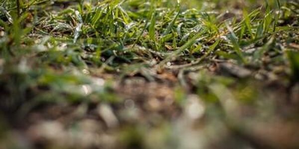 Погода в Приморье в начале следующей недели будет переменчивой