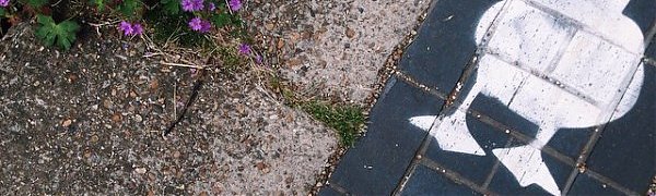 В Англии появились пешеходные дорожки для уток