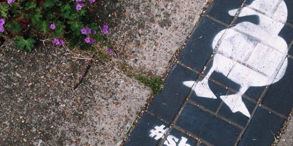 В Англии появились пешеходные дорожки для уток