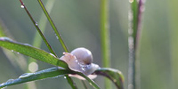 Облачные спирали высотного циклона раскручиваются над Приморьем