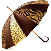 Модные зонты спасают от дождя