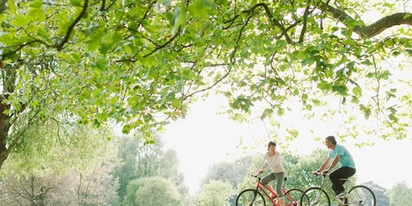 Хотите повысить настроение? Катайтесь на велосипеде