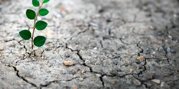 2016-й будет самым жарким годом в истории метеонаблюдений