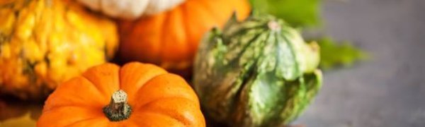 Продуктовая ярмарка вернулась на главную площадь Владивостока