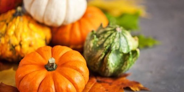 Продуктовая ярмарка вернулась на главную площадь Владивостока