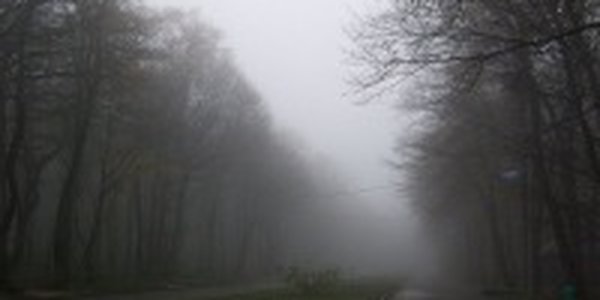 В крае сохранятся переменная облачность и туманы