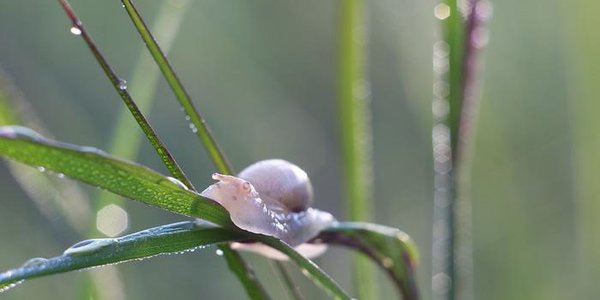 Дождливая погода сохранится в Приморье до середины недели