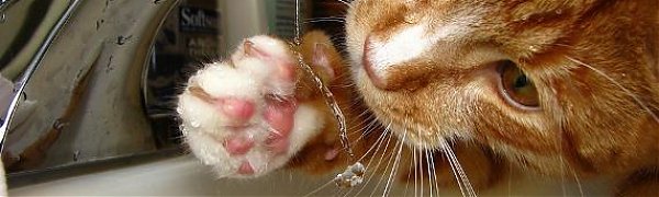 Во Владивостоке снова отключили горячую воду (АДРЕСА)