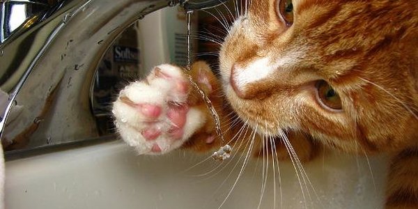 Во Владивостоке снова отключили горячую воду (АДРЕСА)