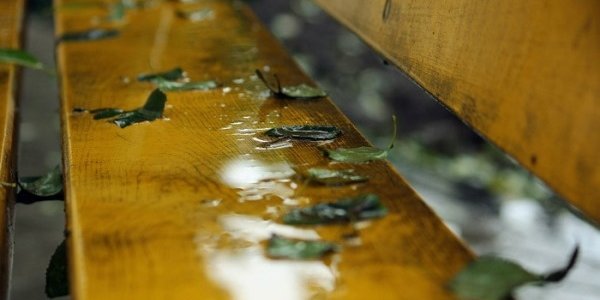 В выходные дни в Приморье пройдут дожди