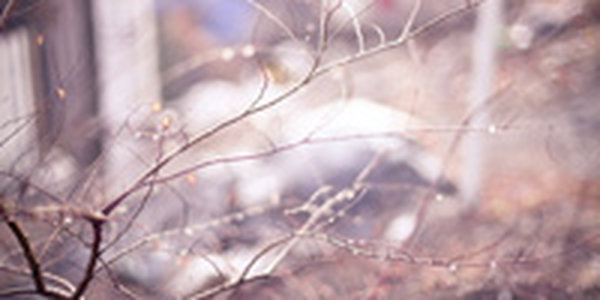 Субботний день в Приморье был довольно теплым