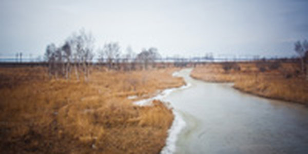 Завтра днем в Приморье возможны небольшие осадки 