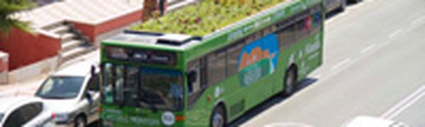 Города можно озеленять с помощью автобусов