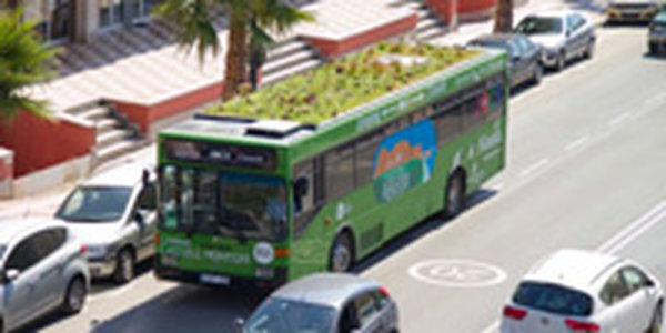 Города можно озеленять с помощью автобусов