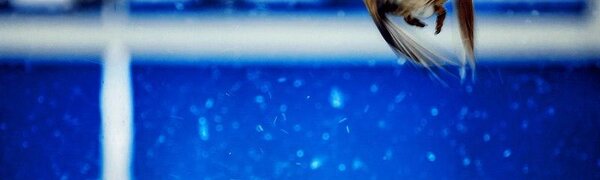 Циклон из Китая принесет в Приморье снег