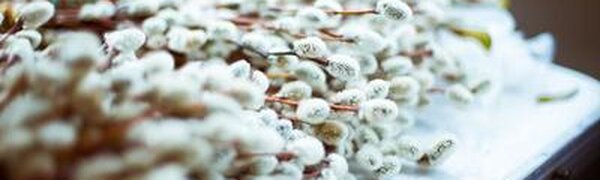 На 10 градусов выше нормы установилась температура на юге Приморья