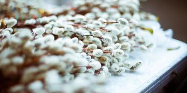 На 10 градусов выше нормы установилась температура на юге Приморья