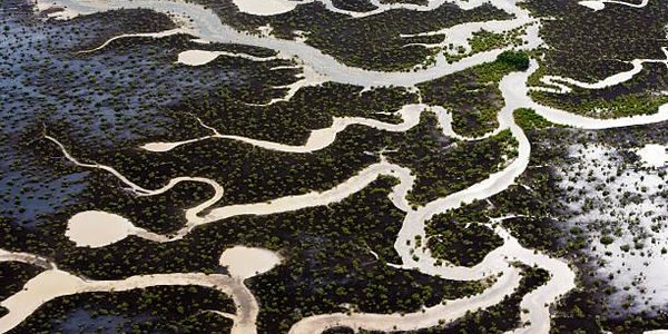 Сегодня отмечается Всемирный день водных ресурсов