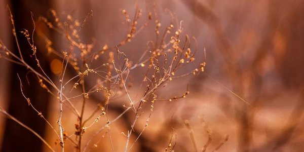 В Приморье дневные температуры перешли плюсовую отметку