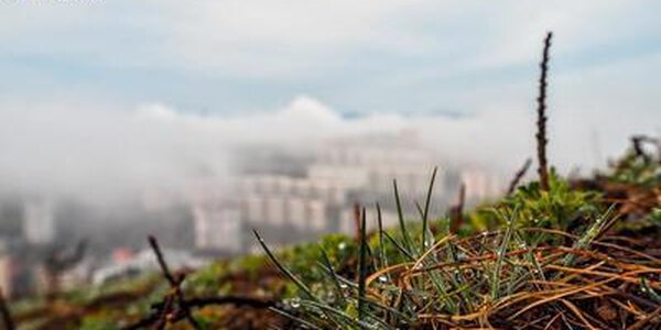 Холодный морской воздух изменит погоду на побережье Приморья в четверг