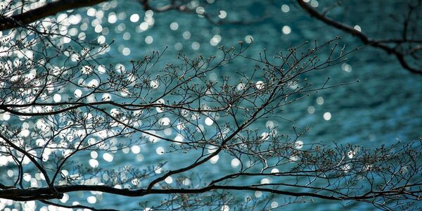 День 22 апреля стал самым теплым во Владивостоке с начала весны