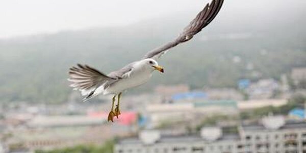 Дожди и похолодание в Приморье принесет атмосферный фронт на выходных