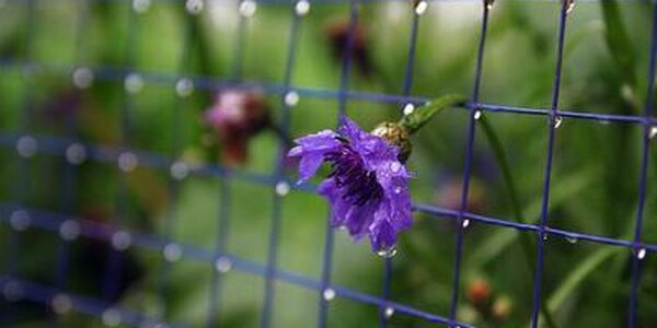 Опубликован прогноз погоды до середины следующей недели в Приморье