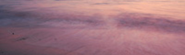 Дожди в выходные понизили пожароопасность в лесах Приморья