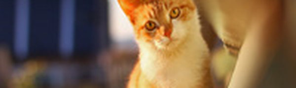 Завтра во Владивостоке нежарко