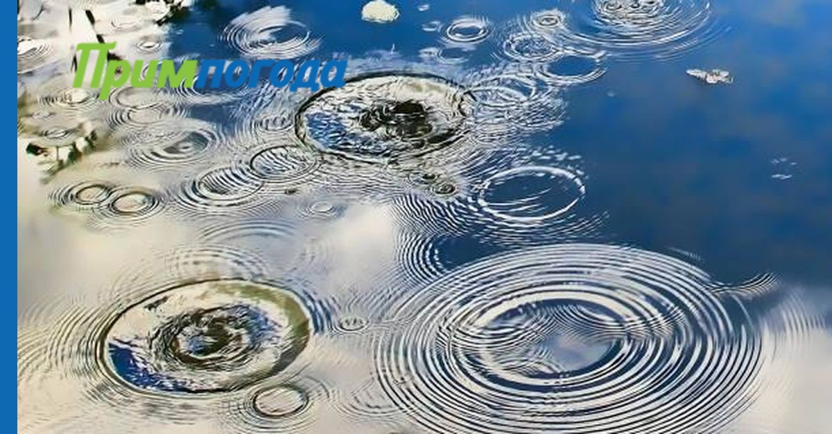 Круги на воде море. Синяя вода аватарка. Круги на воде. Серкл вода. Серкл вода.