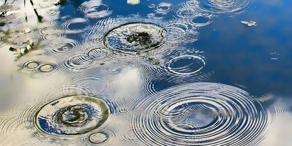 На реках Приморья отмечается пониженный уровень воды