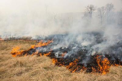 На выходных в Приморье сохранится опасность лесных пожаров