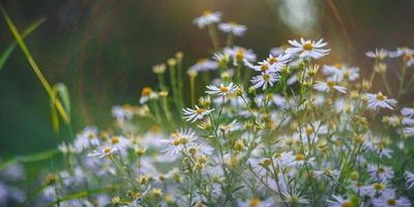 Прогноз погоды на выходные: неустойчивая погода продолжается в Приморье