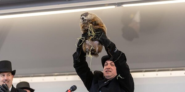 День сурка – 2022: в Москве проспали, в Нью-Джерси отменили, Фил увидел тень