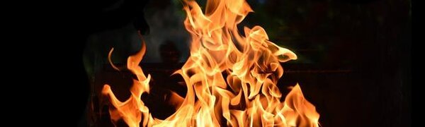 Из-за отсутствия снега на юге Приморья есть риск возгораний леса