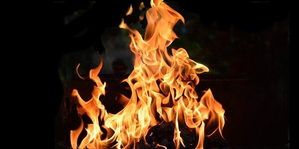 Из-за отсутствия снега на юге Приморья есть риск возгораний леса