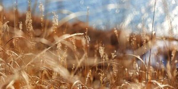 Февраль в Приморье начался со спокойной погоды