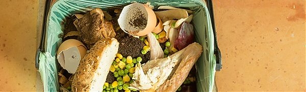 Учёные: пищевые отходы угрожают Земле