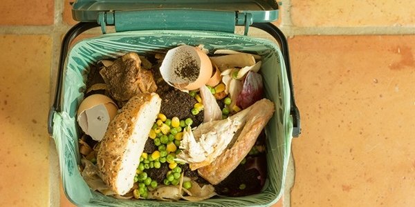 Учёные: пищевые отходы угрожают Земле