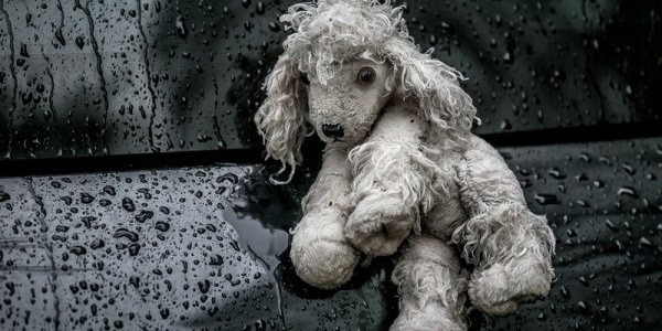 Приморье ожидает продолжительное ненастье