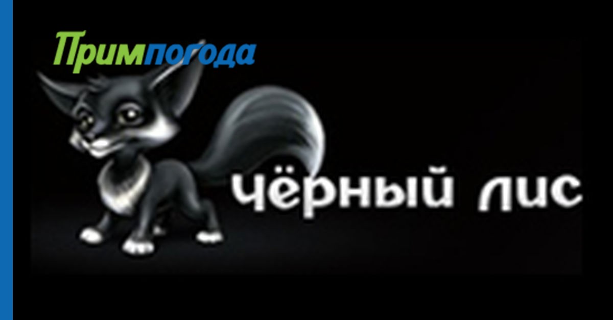 Черный лис нижневартовск доставка. Черный Лисенок мультяшный. Блэк Фокс.