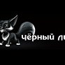«Черный лис» — Примпогода.ру работает с лучшими