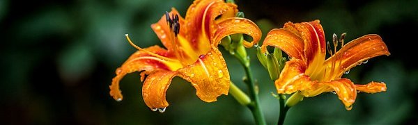 Очередной циклон накроет Приморье в конце рабочей недели