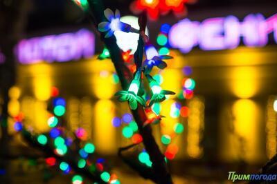 С морозной погоды началась рабочая неделя в Приморье