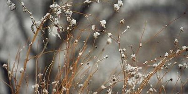 Снег ожидается во Владивостоке и Приморье. Обновленный прогноз на рабочую неделю на Примпогоде
