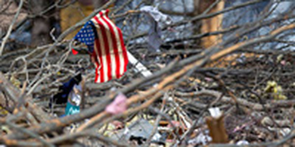 Ряд районов штата Иллинойс в США объявлены зоной стихийного бедствия