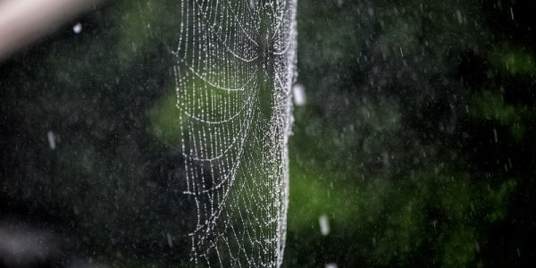 Завтра в Приморье начнутся дожди